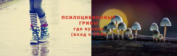 гашик Алзамай